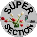 Super Section